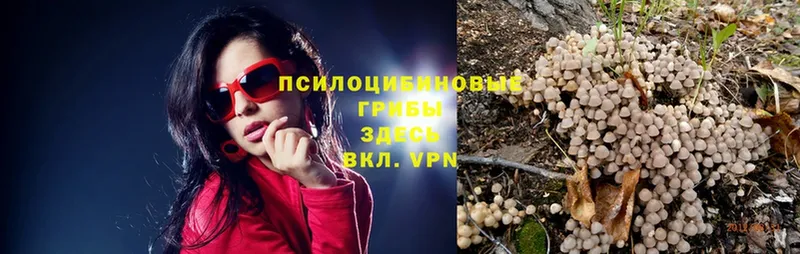 Галлюциногенные грибы Magic Shrooms  кракен сайт  Орлов 